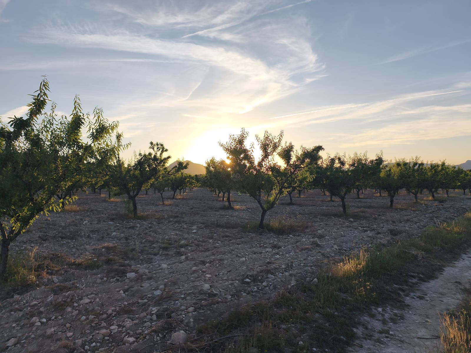 Finca/Casa di Campagna in vendita in Moratalla - 2.500.000 € (Rif: 9989233)