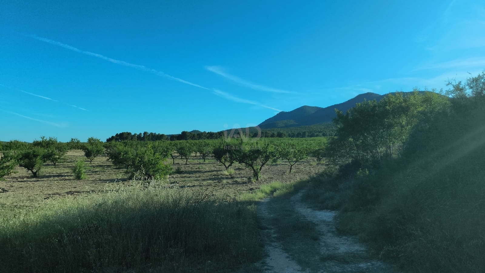 Finca/Casa di Campagna in vendita in Moratalla - 2.500.000 € (Rif: 9989233)