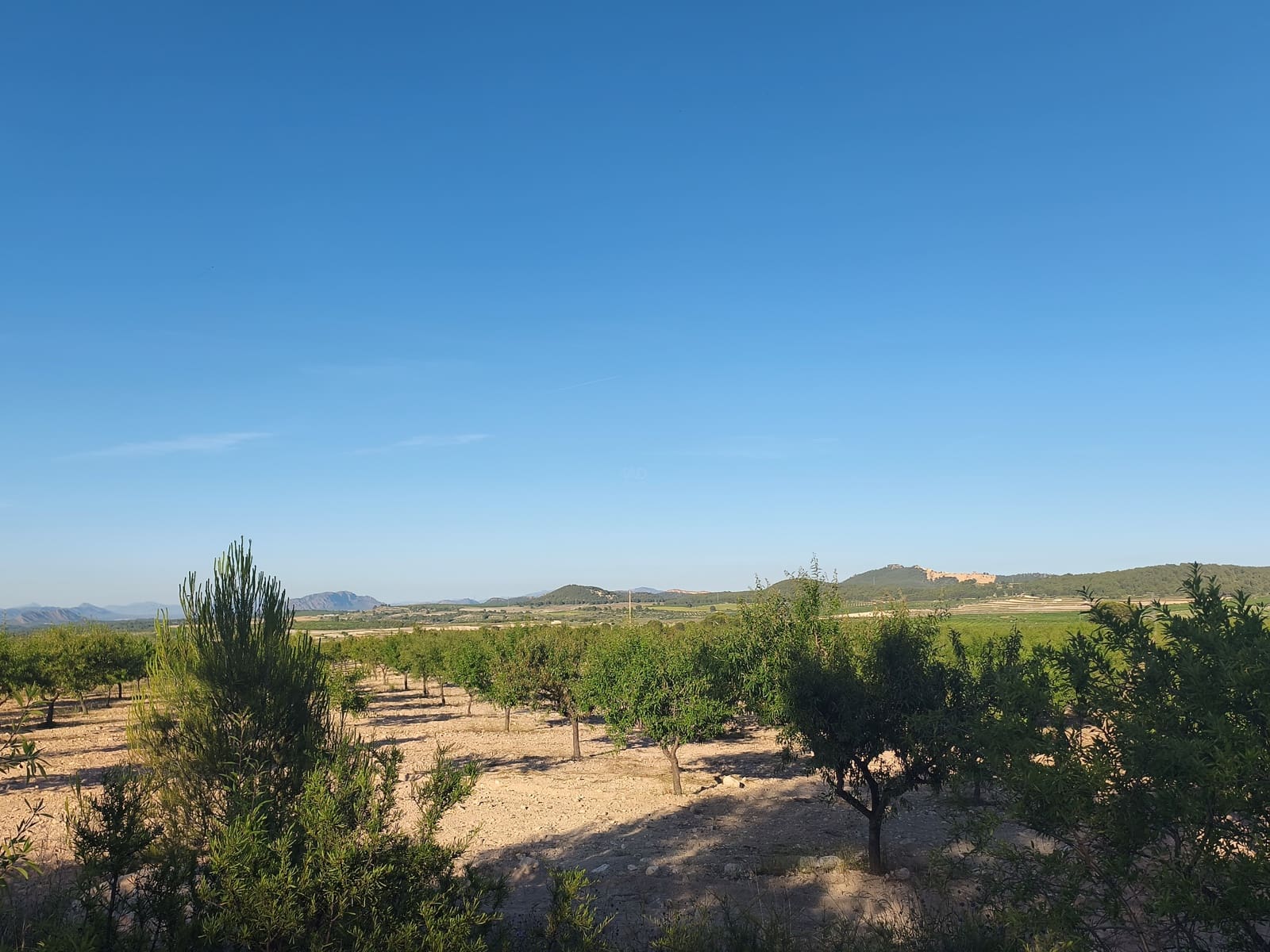 Finca/Casa di Campagna in vendita in Moratalla - 2.500.000 € (Rif: 9989233)