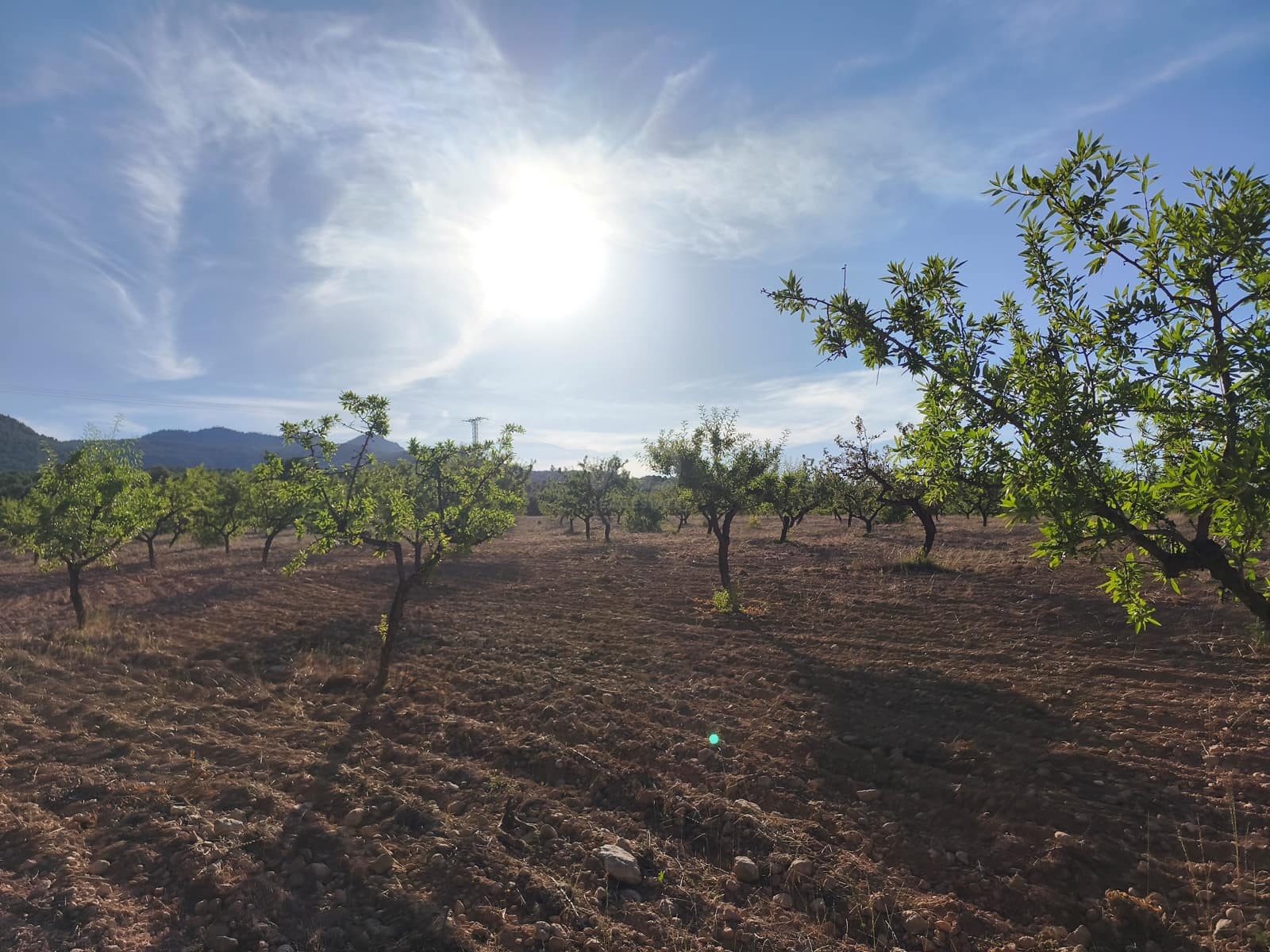Finca/Casa di Campagna in vendita in Moratalla - 2.500.000 € (Rif: 9989233)