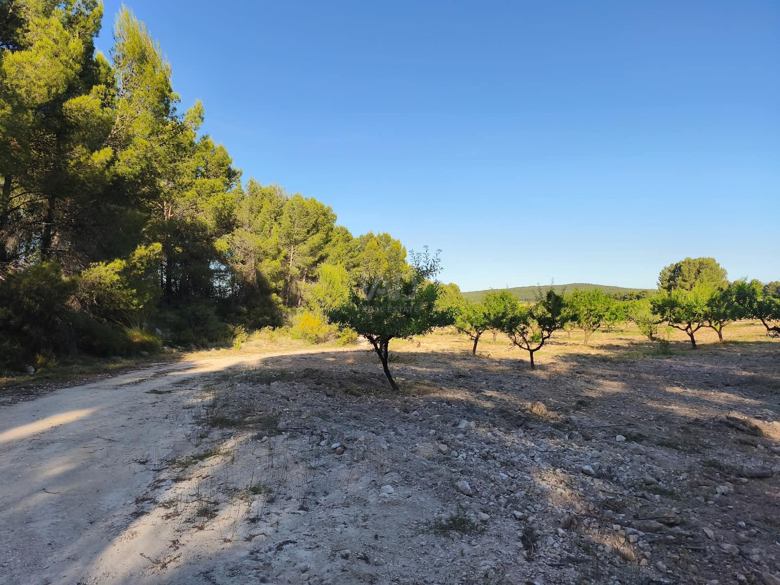 Finca/Casa di Campagna in vendita in Moratalla - 2.500.000 € (Rif: 9989233)