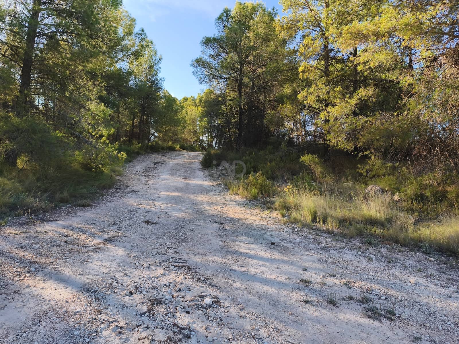 Finca/Casa di Campagna in vendita in Moratalla - 2.500.000 € (Rif: 9989233)