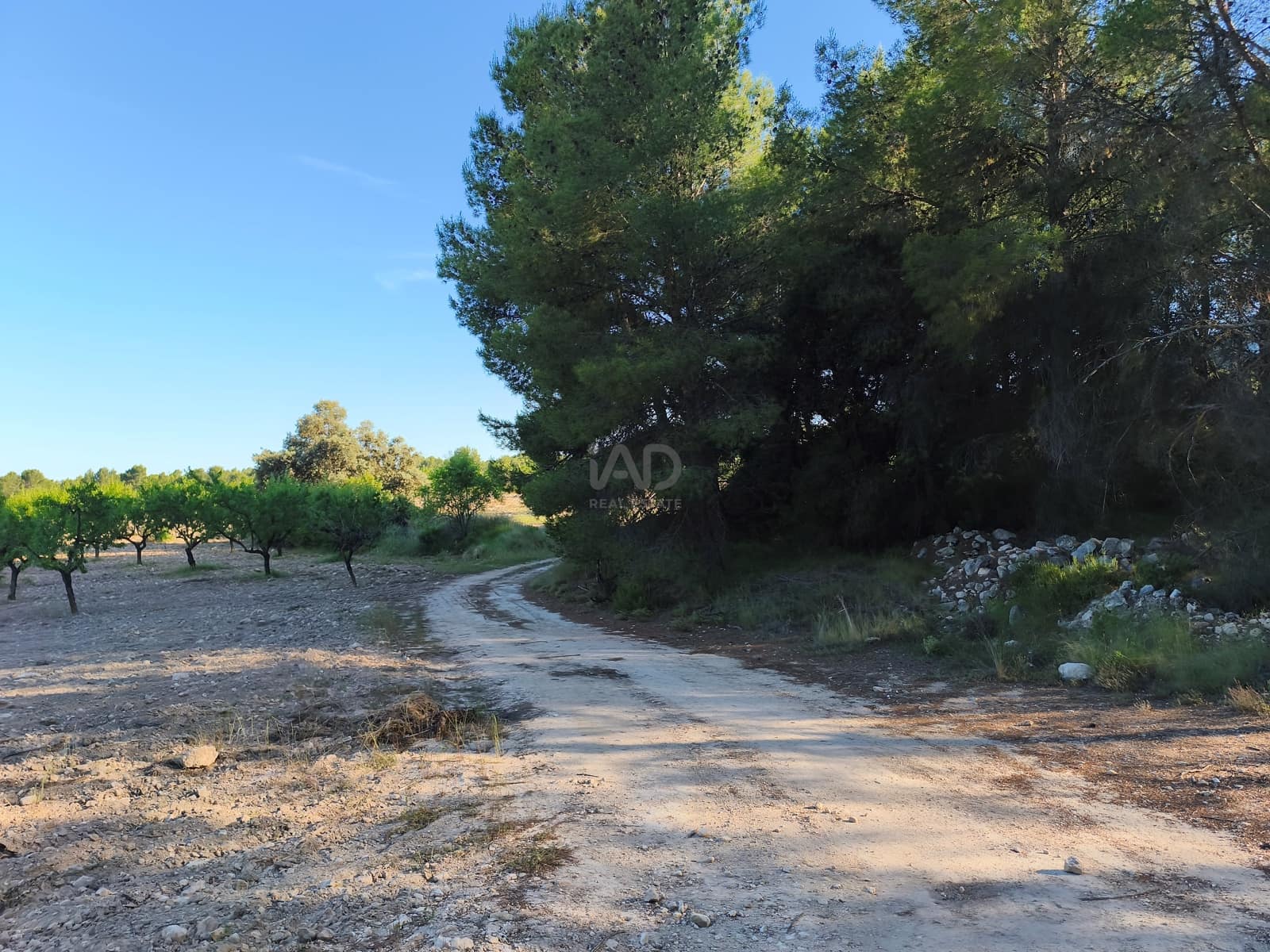 Finca/Casa di Campagna in vendita in Moratalla - 2.500.000 € (Rif: 9989233)