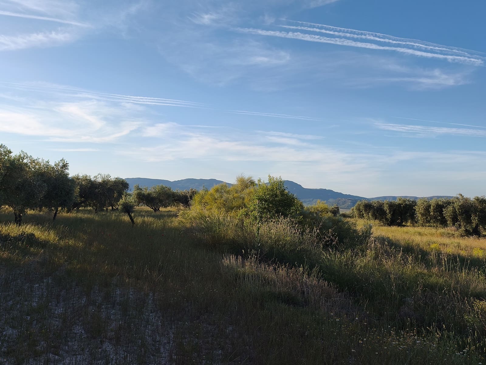 Finca/Casa di Campagna in vendita in Moratalla - 2.500.000 € (Rif: 9989233)