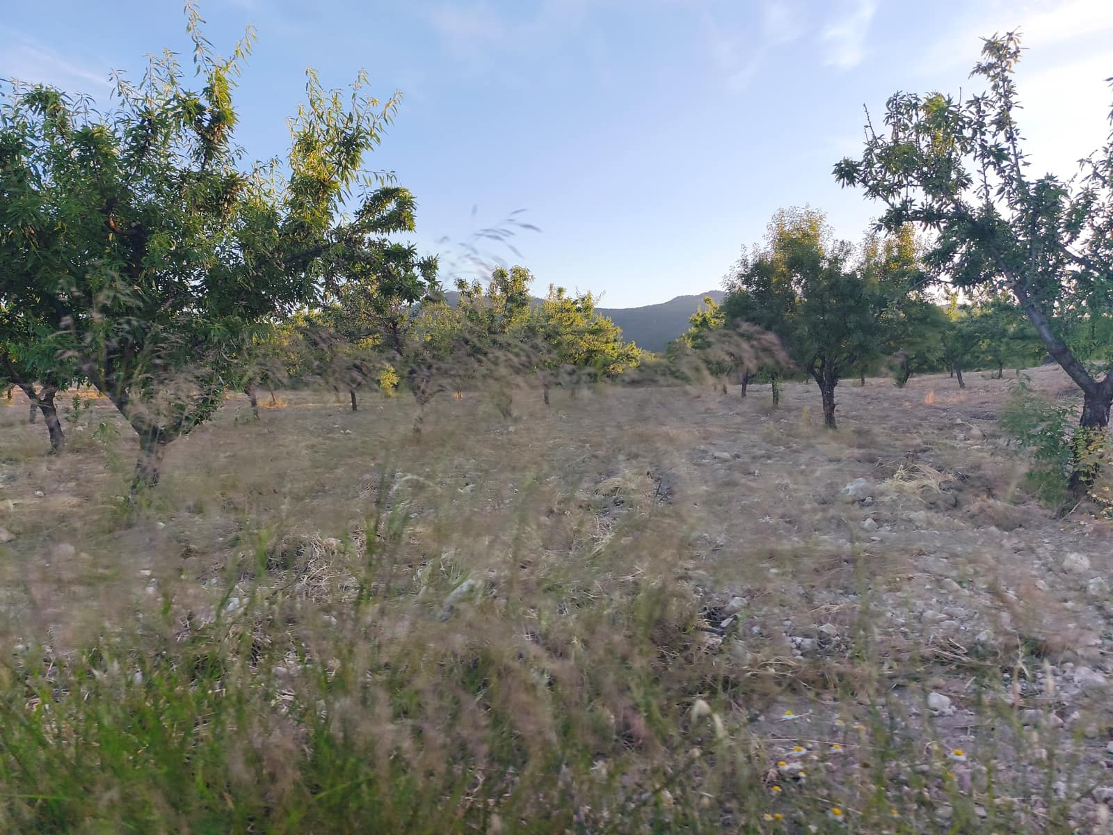 Finca/Casa di Campagna in vendita in Moratalla - 2.500.000 € (Rif: 9989233)