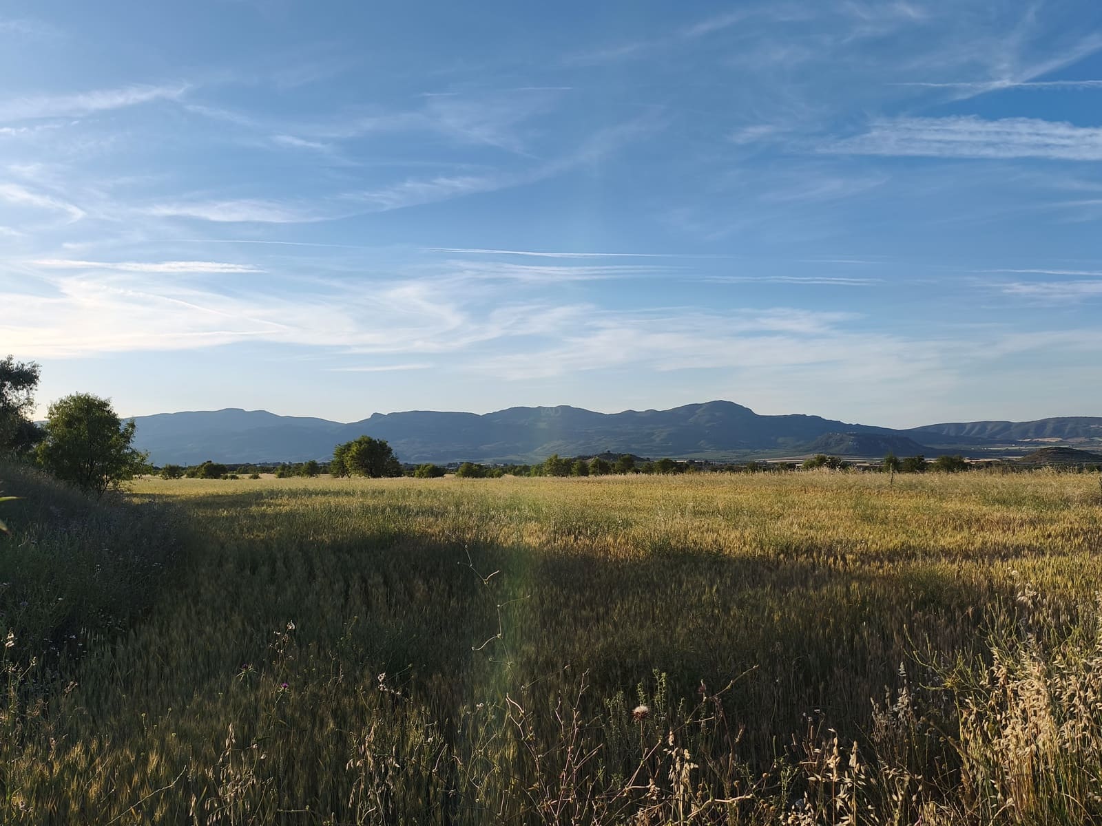 Finca/Casa di Campagna in vendita in Moratalla - 2.500.000 € (Rif: 9989233)