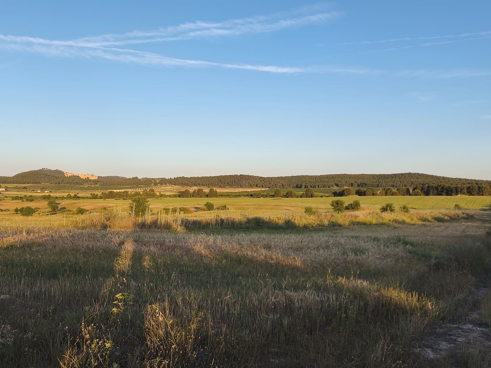 Finca/Casa di Campagna in vendita in Moratalla - 2.500.000 € (Rif: 9989233)