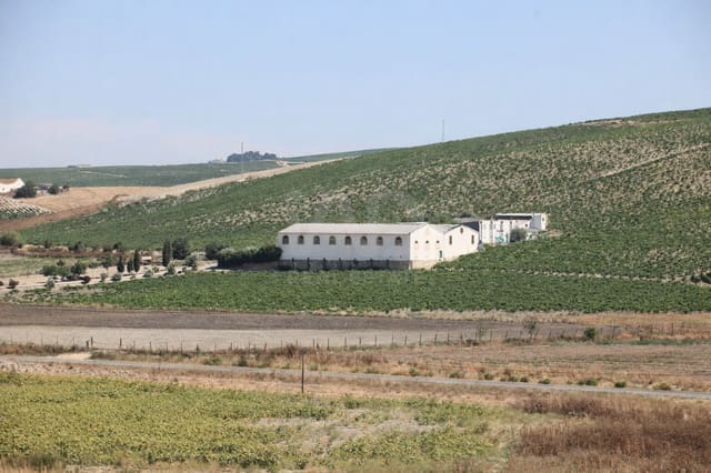 Erhverv til salg i Cádiz by - € 1.229.000 (Ref: 9989234)