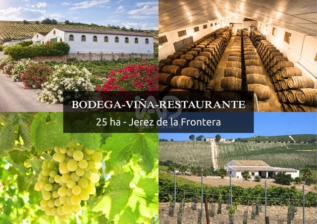 Erhverv til salg i Cádiz by - € 1.229.000 (Ref: 9989234)