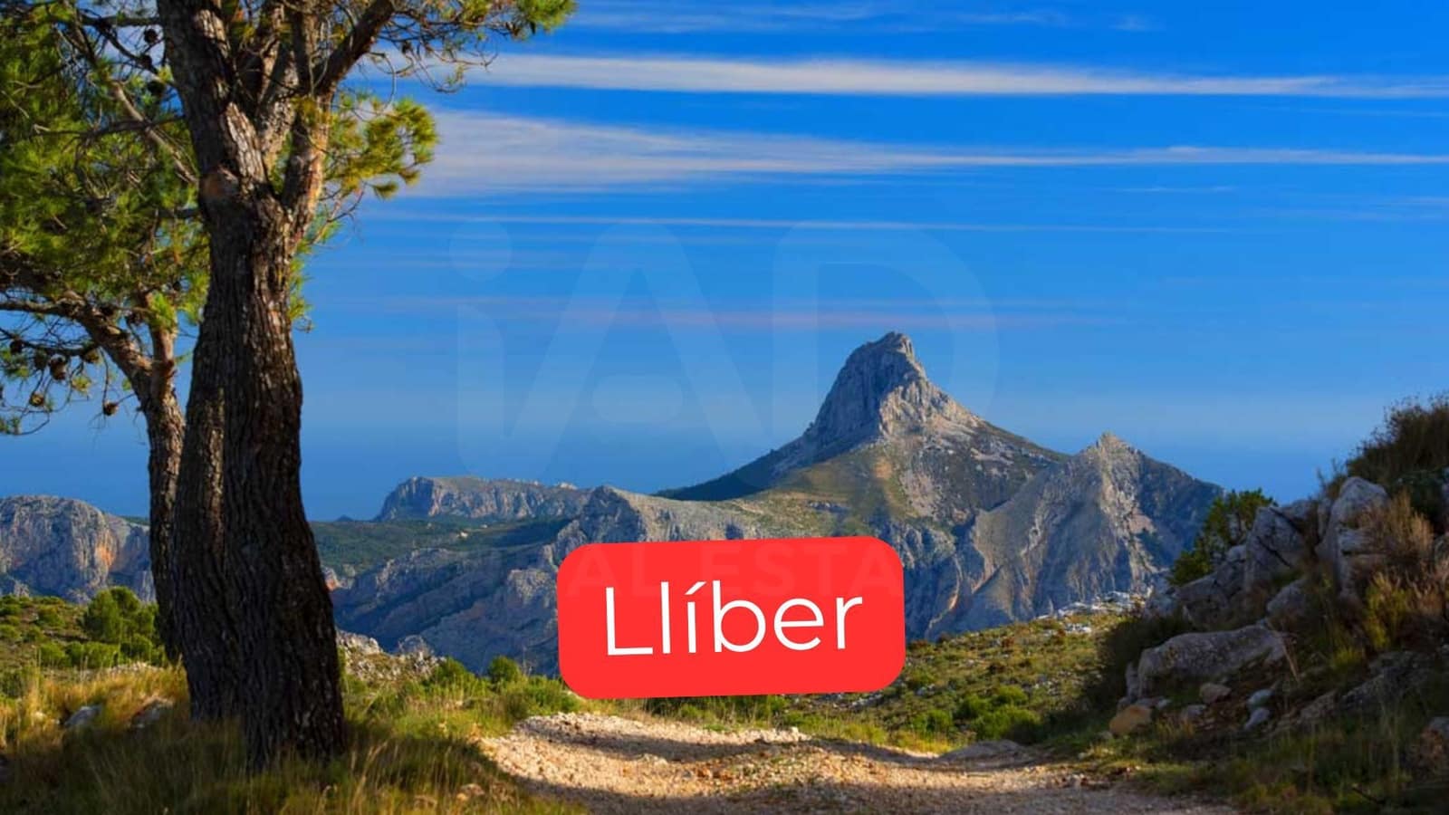 Finca/Casa Rural de 1 habitación en Alicante / Alacant ciudad en venta con garaje - 310.000 € (Ref: 9989239)