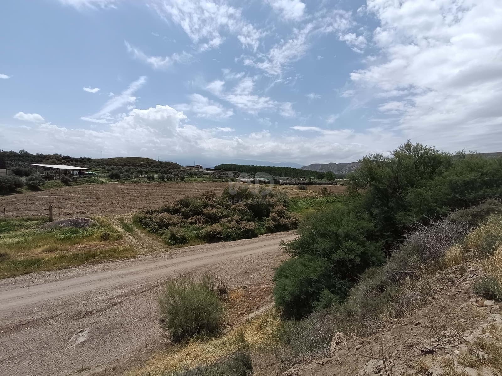 Terre non Aménagée à vendre à Alicante ville - 90 000 € (Ref: 9989243)