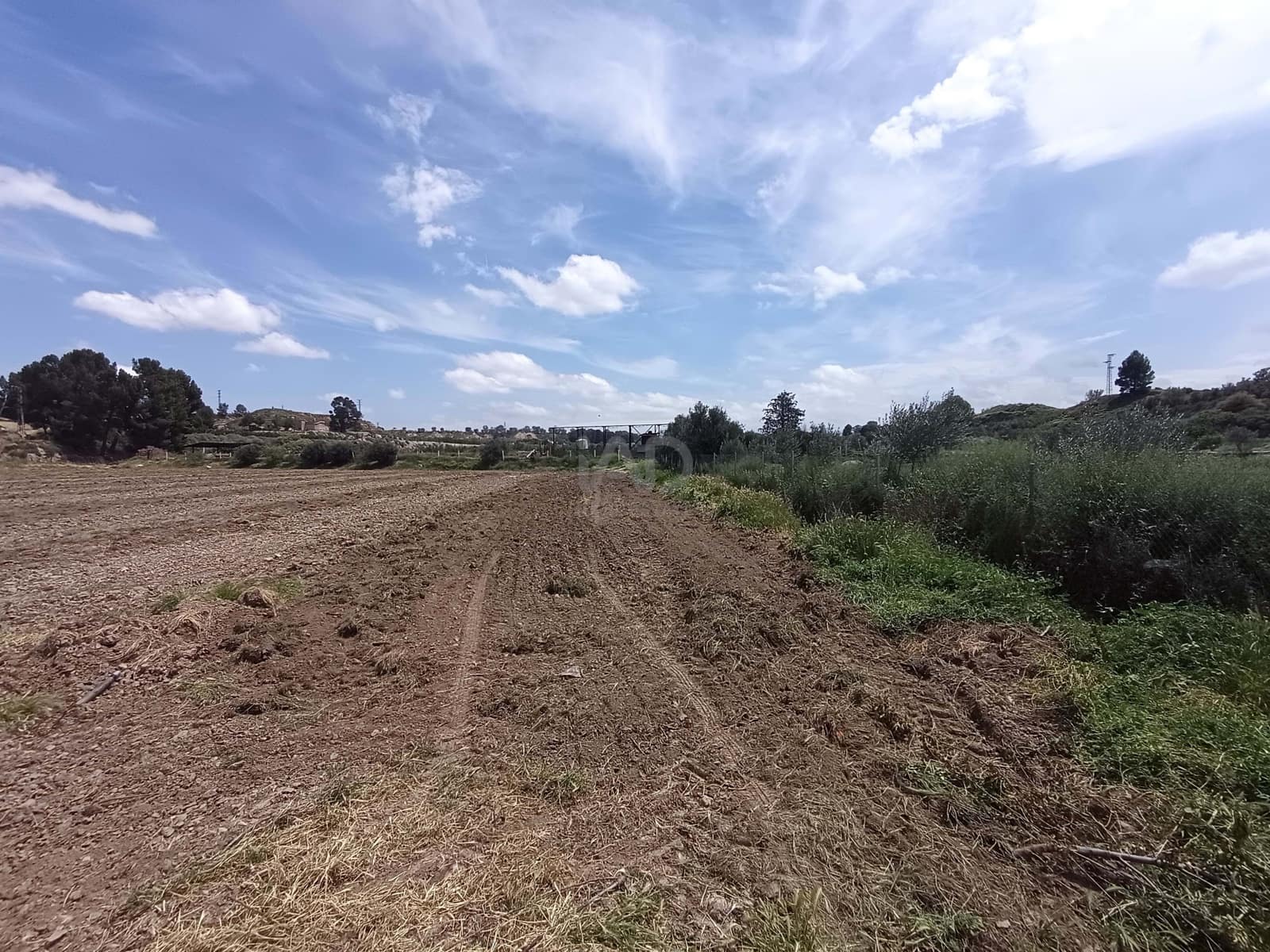 Terre non Aménagée à vendre à Alicante ville - 90 000 € (Ref: 9989243)