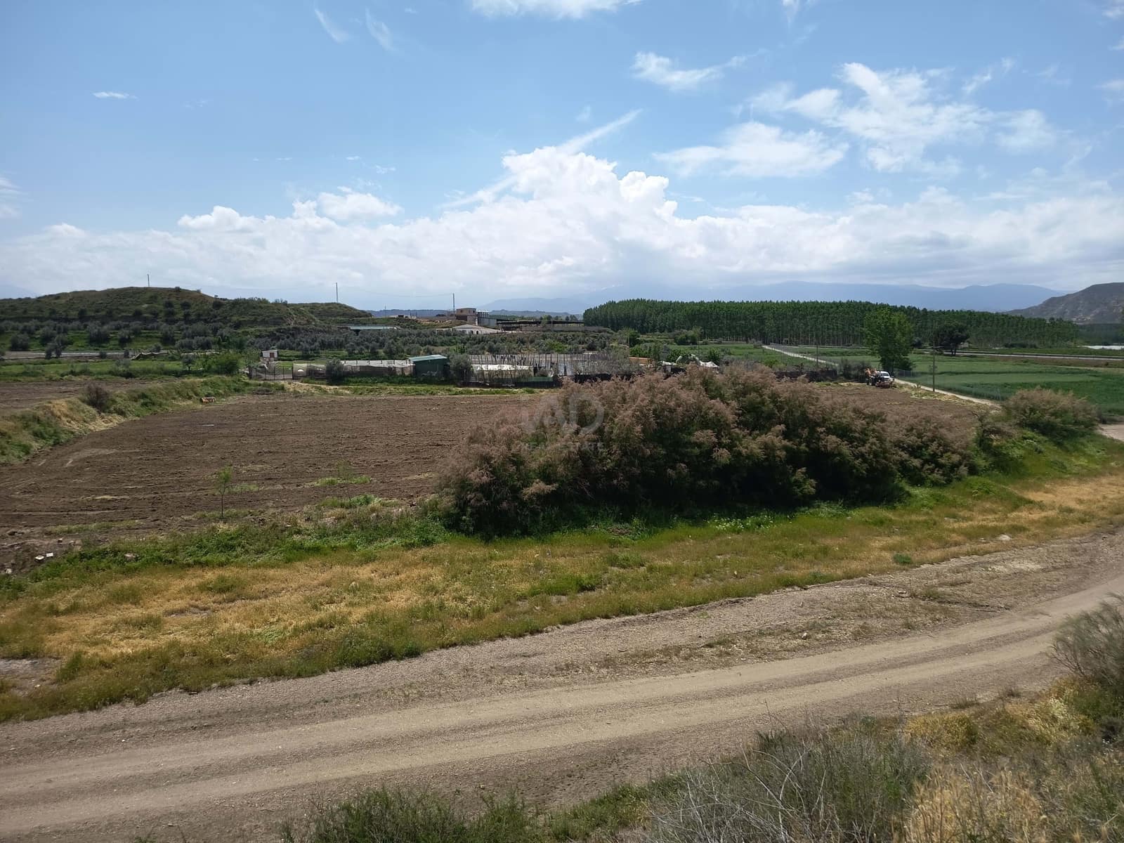 Terre non Aménagée à vendre à Alicante ville - 90 000 € (Ref: 9989243)