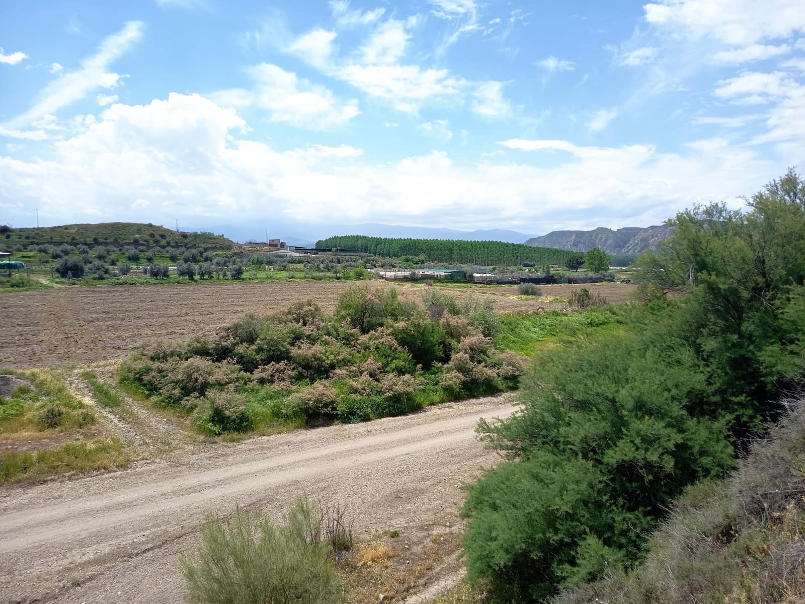 Terre non Aménagée à vendre à Alicante ville - 90 000 € (Ref: 9989243)