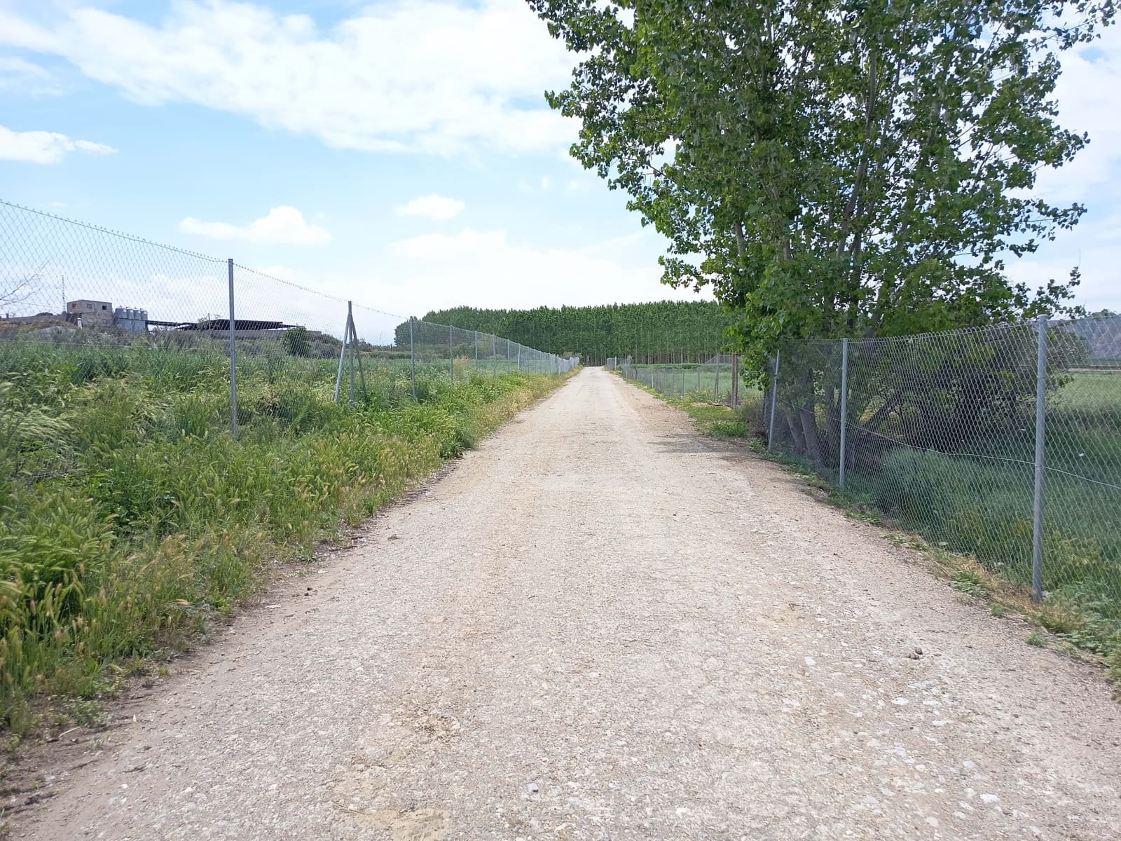 Terre non Aménagée à vendre à Alicante ville - 90 000 € (Ref: 9989243)