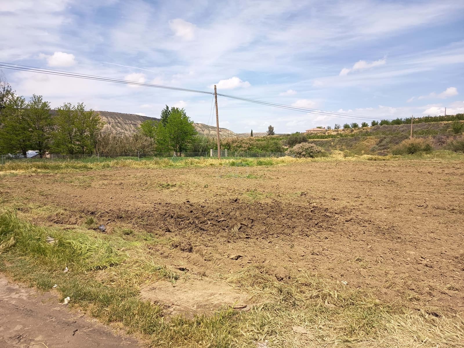 Terre non Aménagée à vendre à Alicante ville - 90 000 € (Ref: 9989243)