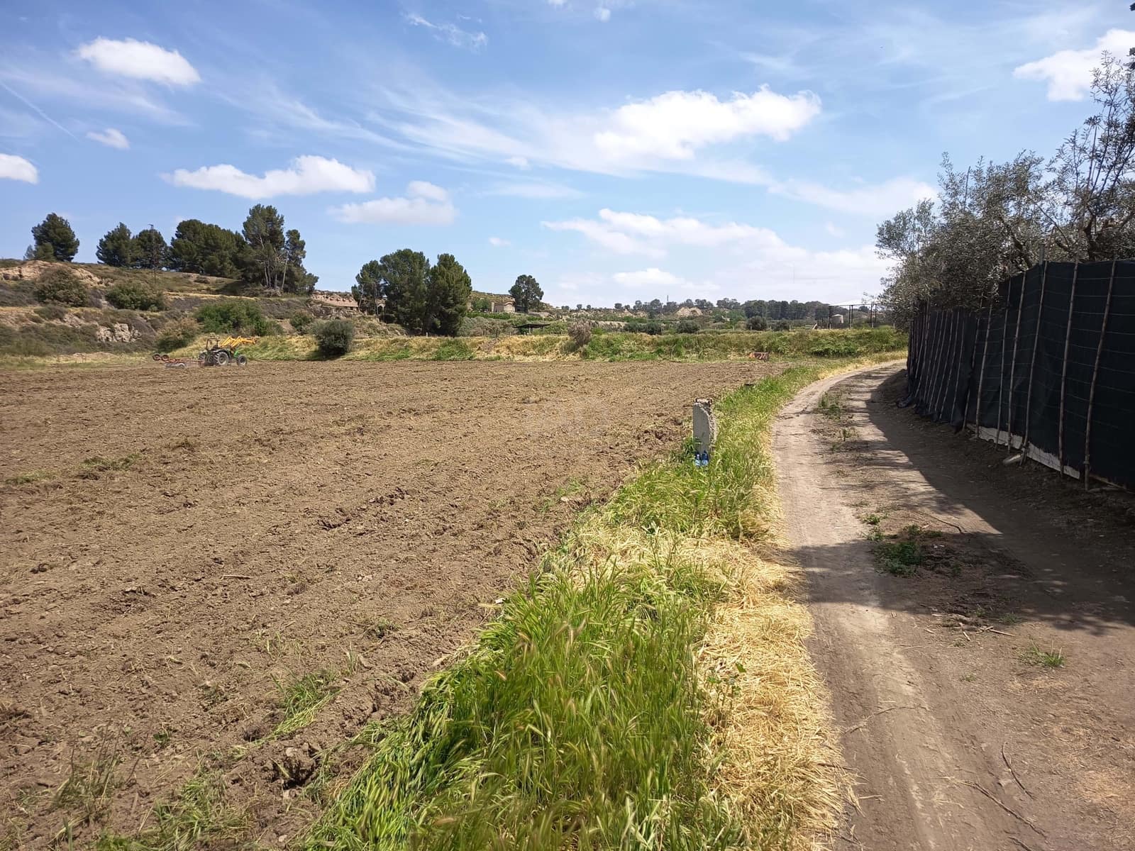 Terre non Aménagée à vendre à Alicante ville - 90 000 € (Ref: 9989243)