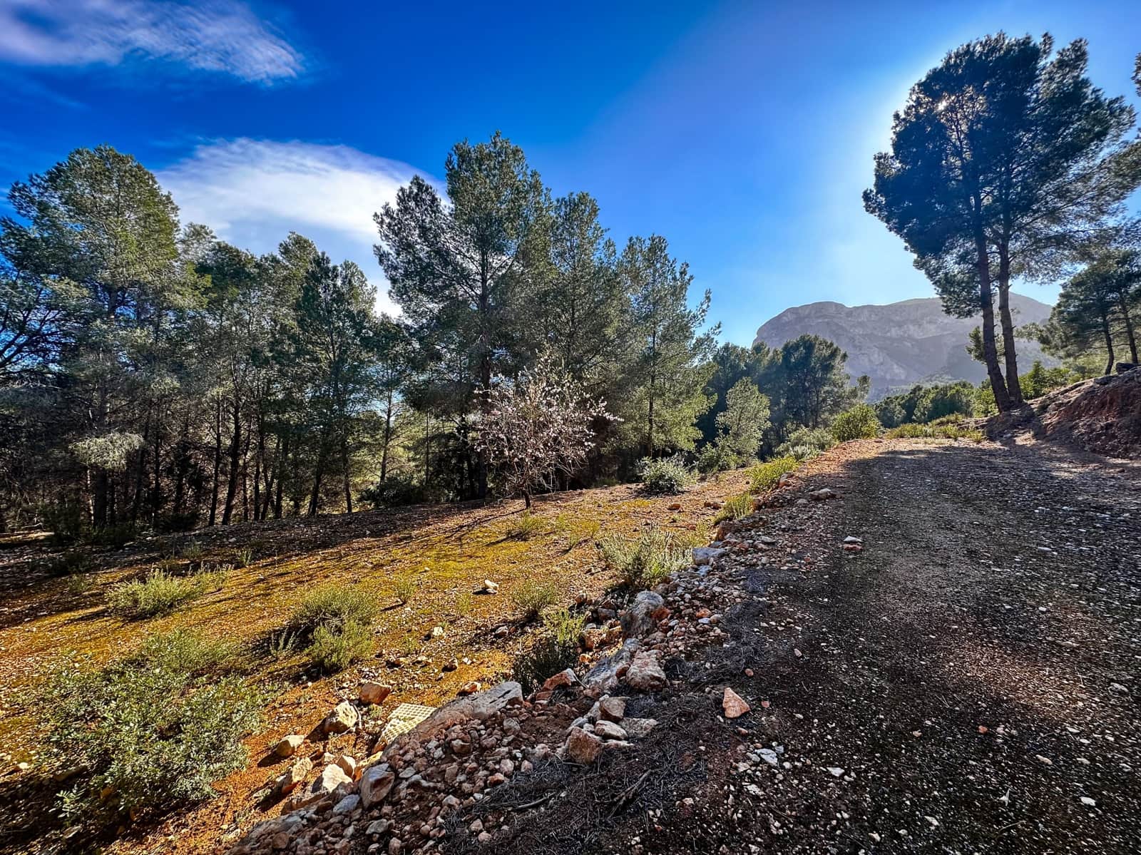Mark till salu i Alicante stad - 120 000 € (Ref: 9989248)