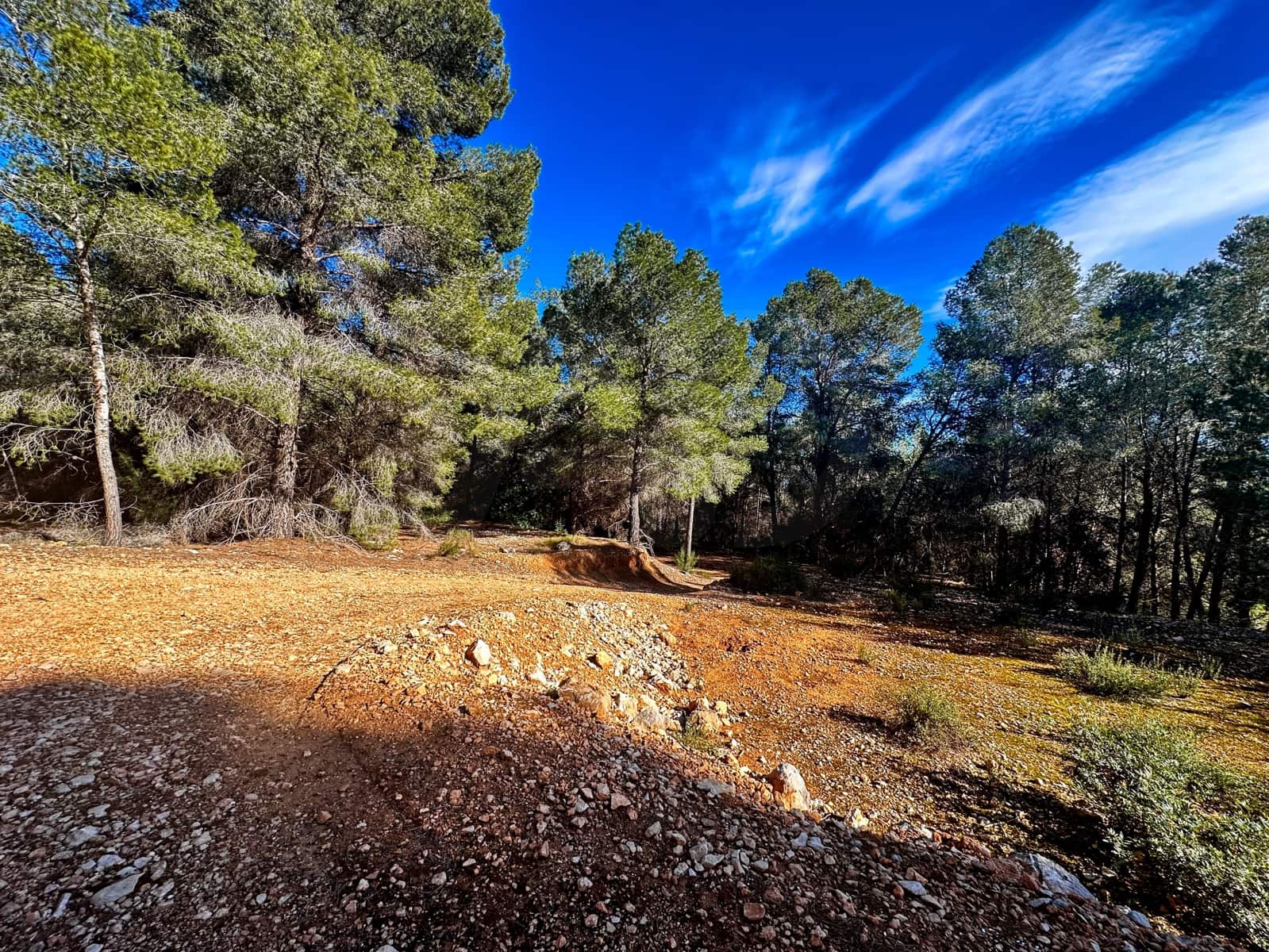 Mark till salu i Alicante stad - 120 000 € (Ref: 9989248)