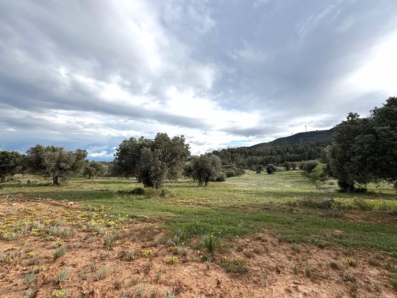Finca/Casa di Campagna in vendita in Tarragona citta - 38.000 € (Rif: 9989252)