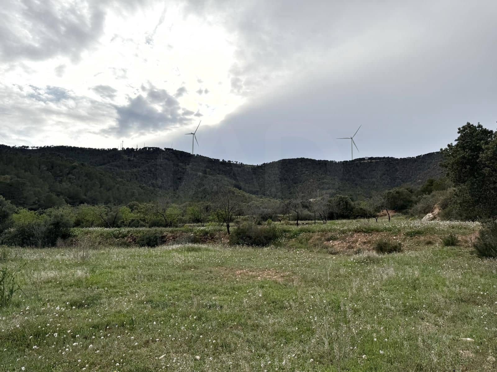 Finca/Casa di Campagna in vendita in Tarragona citta - 38.000 € (Rif: 9989252)