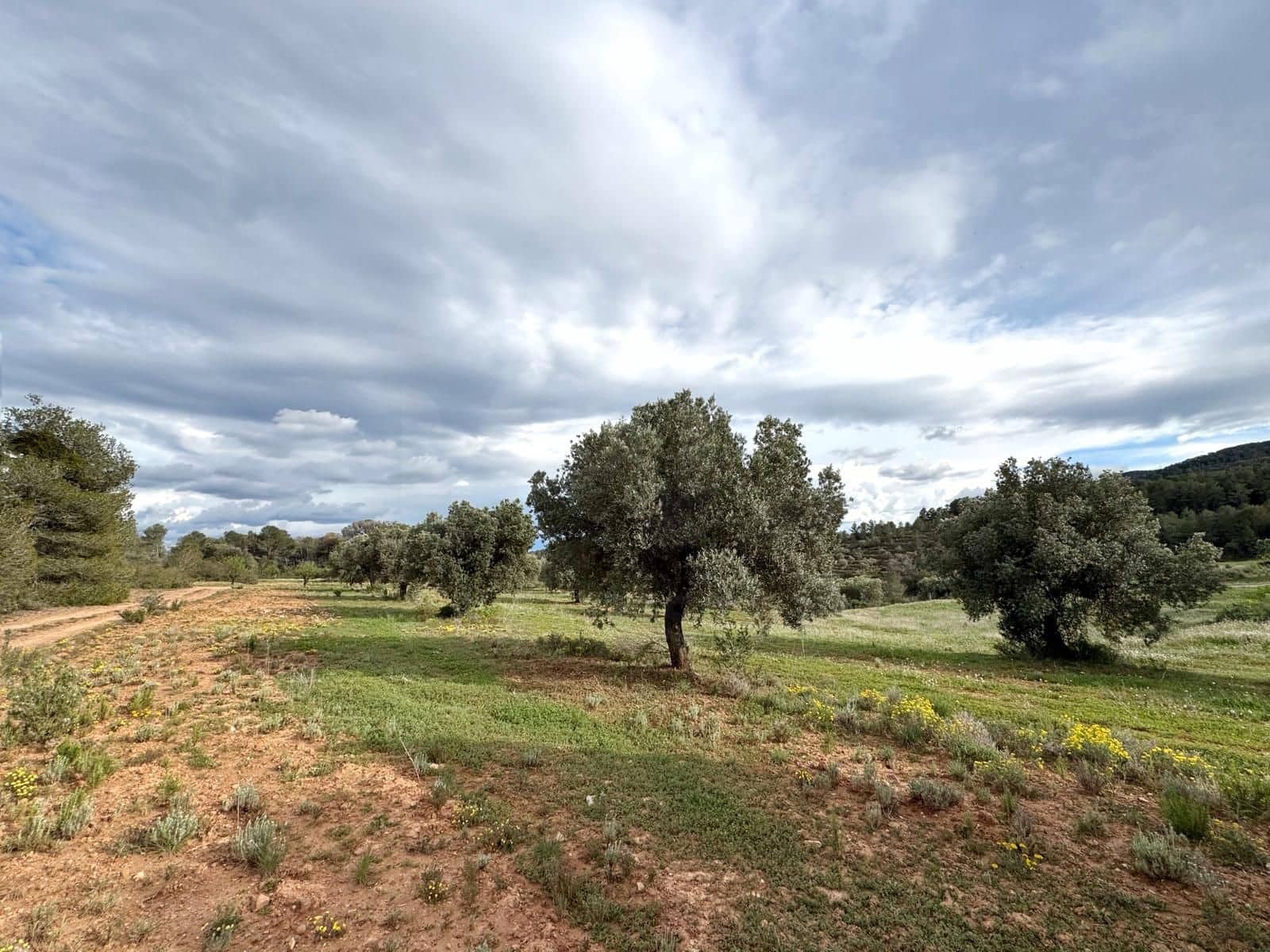 Finca/Casa di Campagna in vendita in Tarragona citta - 38.000 € (Rif: 9989252)