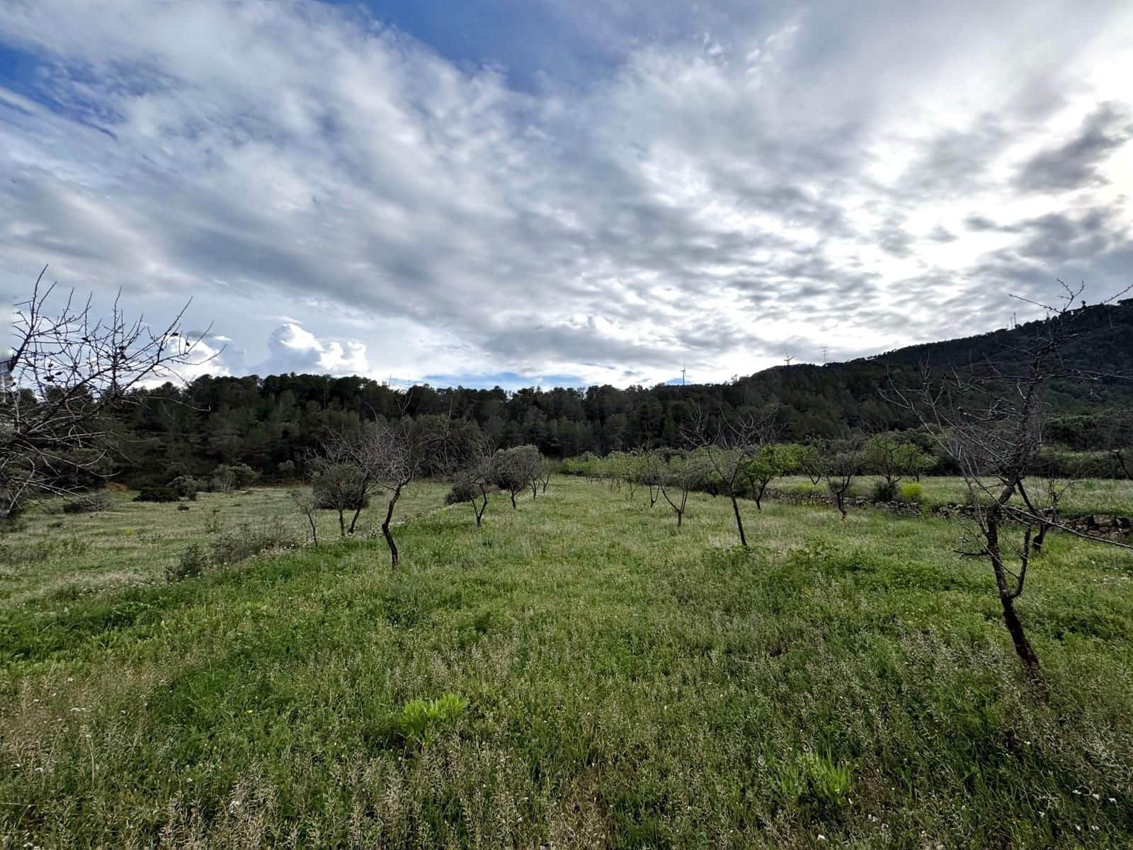 Finca/Casa di Campagna in vendita in Tarragona citta - 38.000 € (Rif: 9989252)