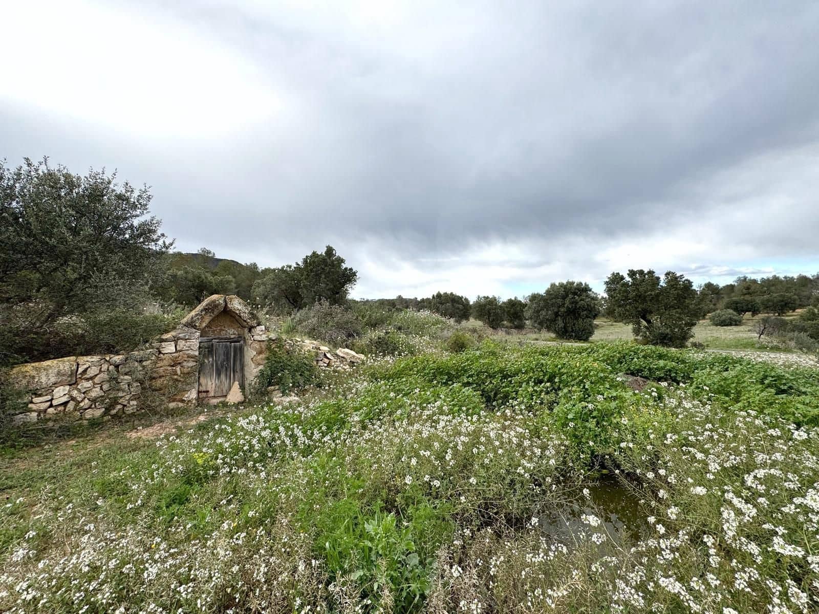 Finca/Casa di Campagna in vendita in Tarragona citta - 38.000 € (Rif: 9989252)