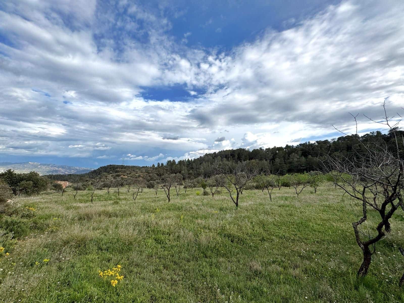 Finca/Casa di Campagna in vendita in Tarragona citta - 38.000 € (Rif: 9989252)