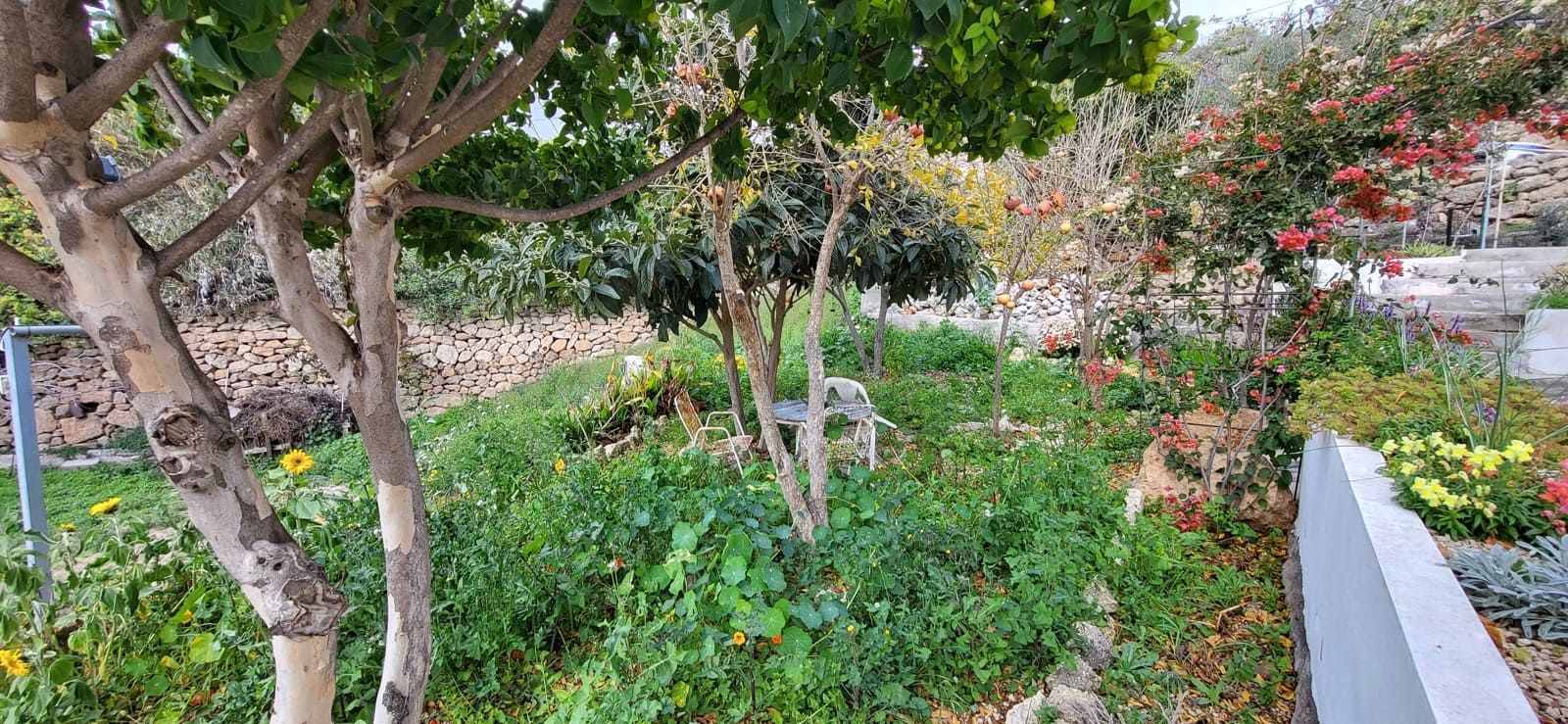 3 bedroom Finca/Country House for sale in Arico - € 275,000 (Ref: 9989259)