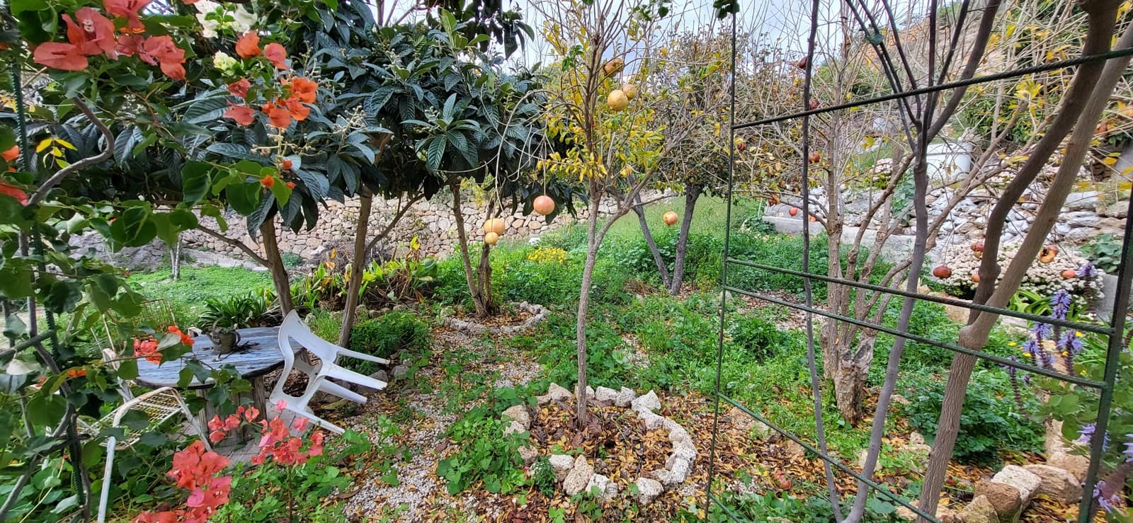 3 bedroom Finca/Country House for sale in Arico - € 275,000 (Ref: 9989259)