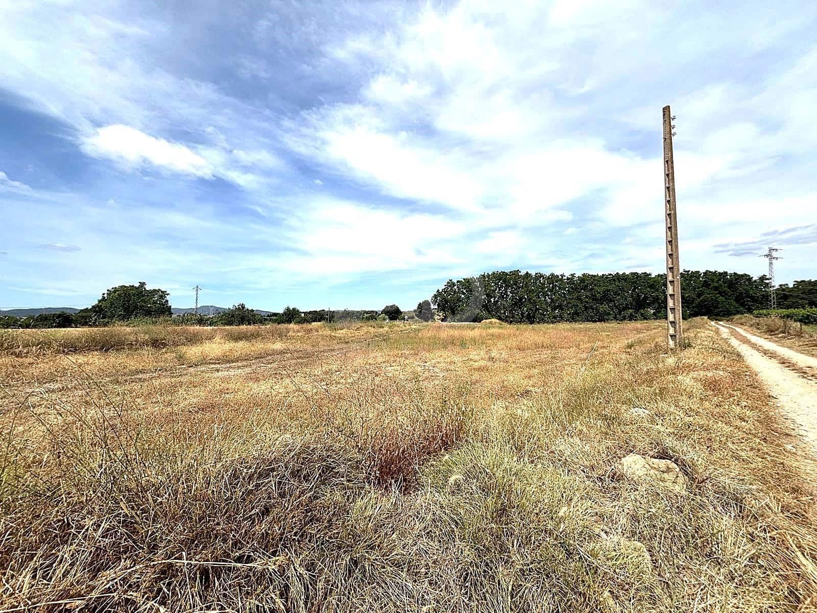 Mark till salu i Banyeres del Penedes - 18 500 € (Ref: 9989260)