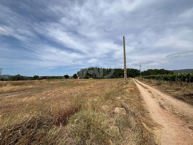 Terreno Non Edificato in vendita in Banyeres del Penedès - 18.500 € (Rif: 9989260)