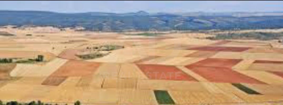 Terre non Aménagée à vendre à Soria ville - 250 000 € (Ref: 9989261)