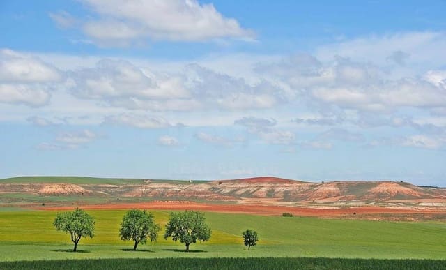 Terre non Aménagée à vendre à Soria ville - 250 000 € (Ref: 9989261)