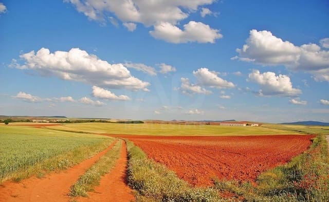 Terre non Aménagée à vendre à Soria ville - 250 000 € (Ref: 9989261)