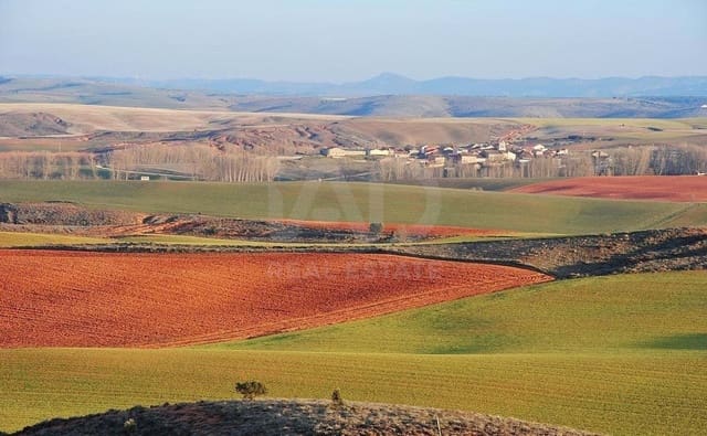 Terre non Aménagée à vendre à Soria ville - 250 000 € (Ref: 9989261)