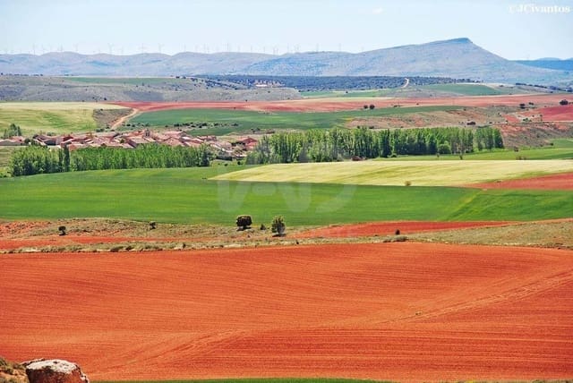 Terre non Aménagée à vendre à Soria ville - 250 000 € (Ref: 9989261)