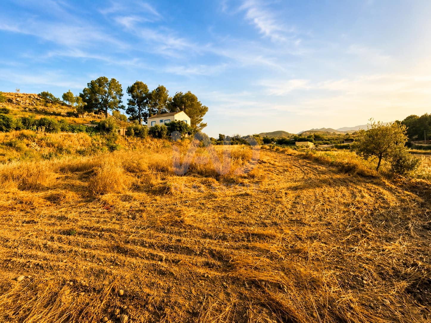 Undeveloped Land for sale in Murcia city - € 7,800 (Ref: 9989266)