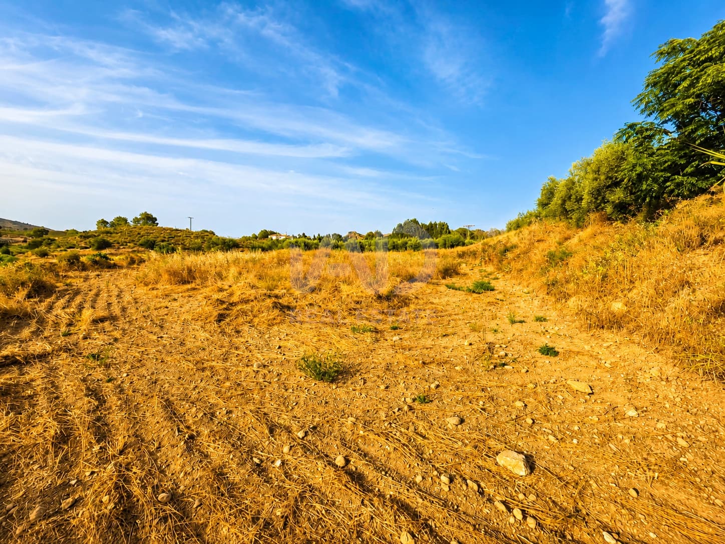 Undeveloped Land for sale in Murcia city - € 7,800 (Ref: 9989266)