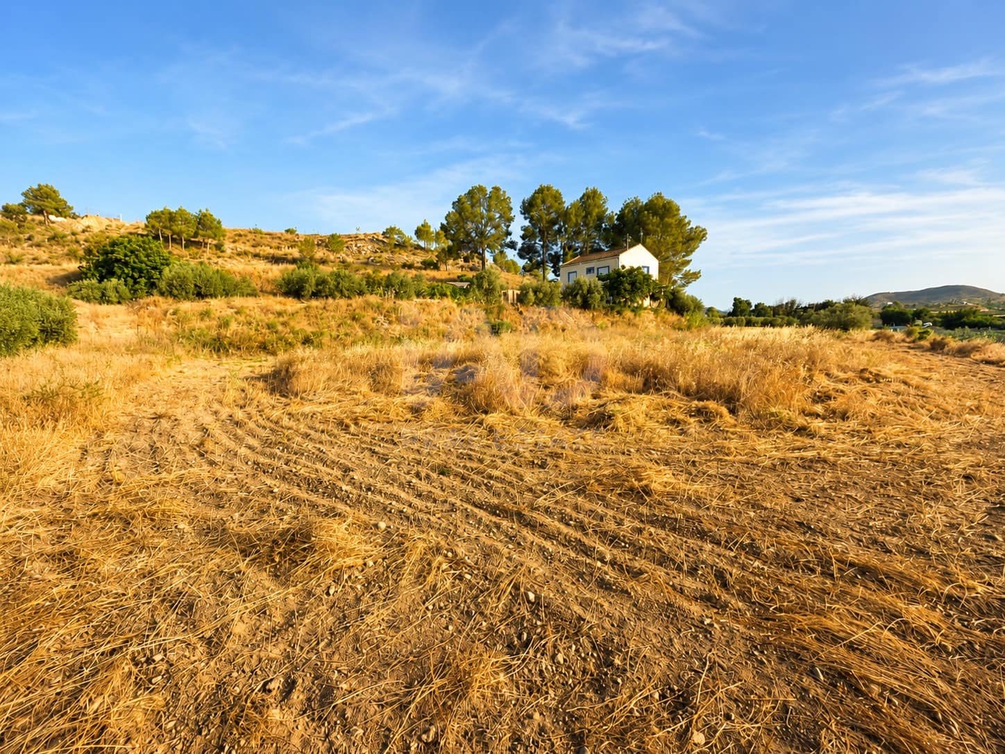 Undeveloped Land for sale in Murcia city - € 7,800 (Ref: 9989266)
