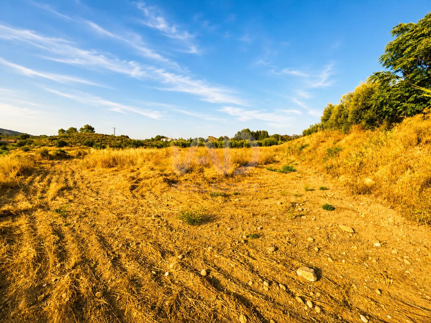 Undeveloped Land for sale in Murcia city - € 7,800 (Ref: 9989266)