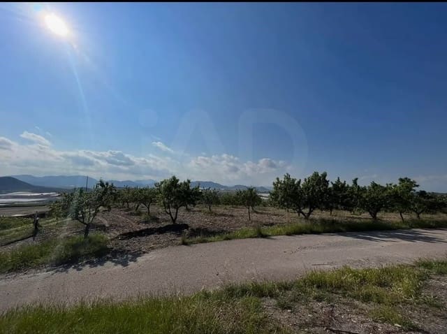 Grunde uden byggetilladelser til salg i La Campana, Lorca - € 110.000 (Ref: 9989269)