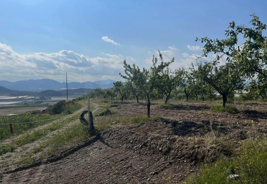 Mark till salu i La Campana - 110 000 € (Ref: 9989269)