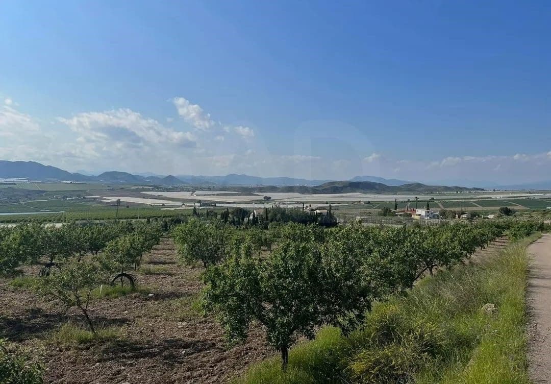 Mark till salu i La Campana - 110 000 € (Ref: 9989269)