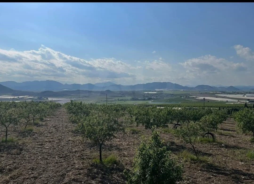Mark till salu i La Campana - 110 000 € (Ref: 9989269)