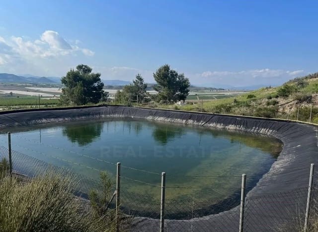 Grunde uden byggetilladelser til salg i La Campana, Lorca - € 110.000 (Ref: 9989269)