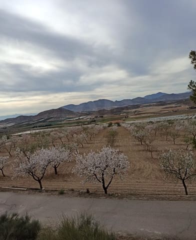 Grunde uden byggetilladelser til salg i La Campana, Lorca - € 110.000 (Ref: 9989269)
