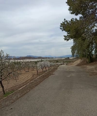 Grunde uden byggetilladelser til salg i La Campana, Lorca - € 110.000 (Ref: 9989269)