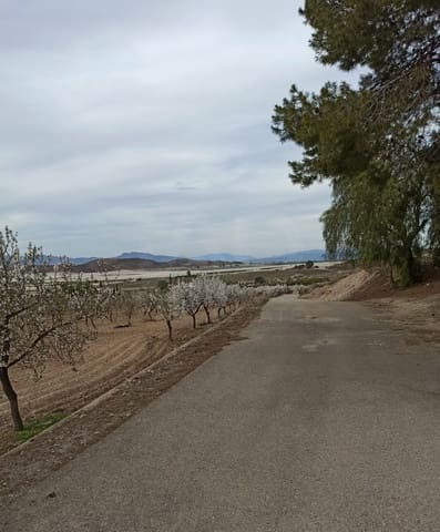 Grunde uden byggetilladelser til salg i La Campana, Lorca - € 110.000 (Ref: 9989269)